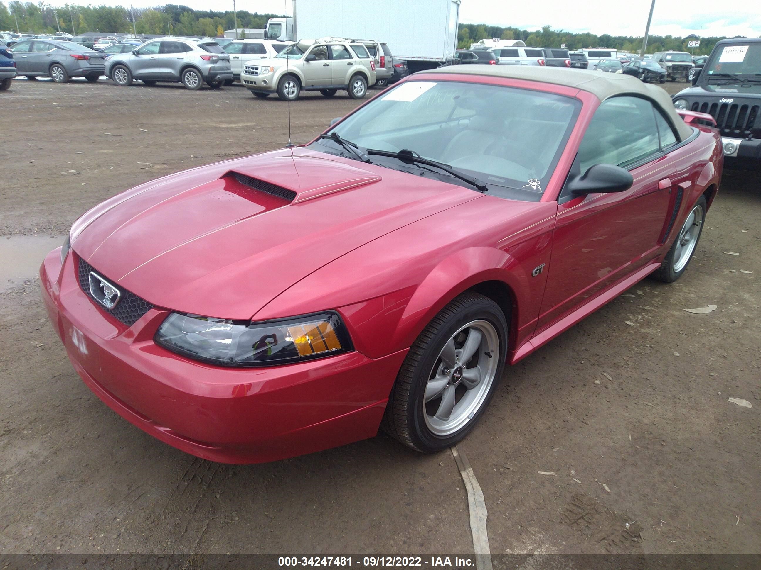 2002 FORD MUSTANG GT DELUXE VIN: 1FAFP45X42F158253