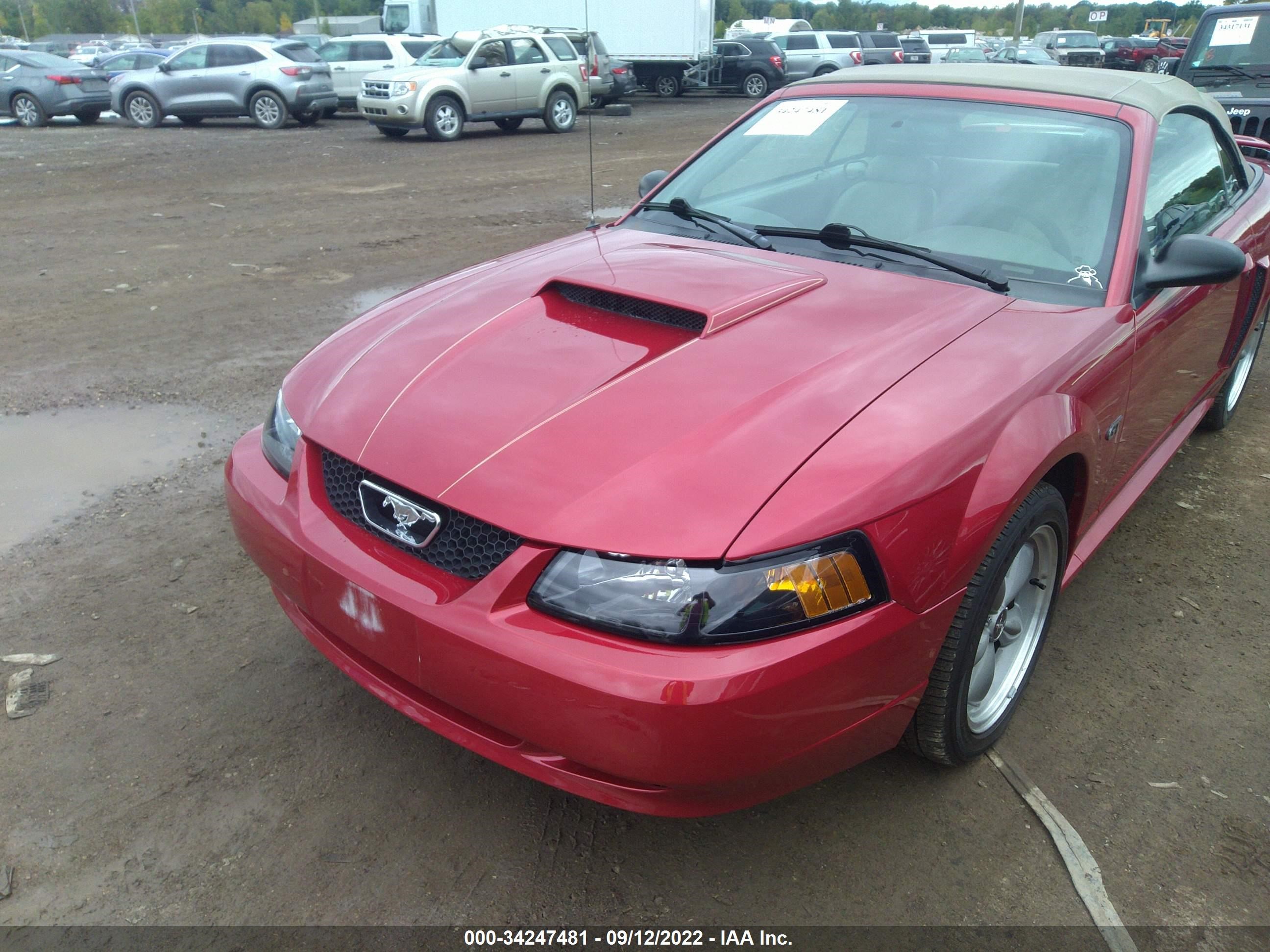 2002 FORD MUSTANG GT DELUXE VIN: 1FAFP45X42F158253