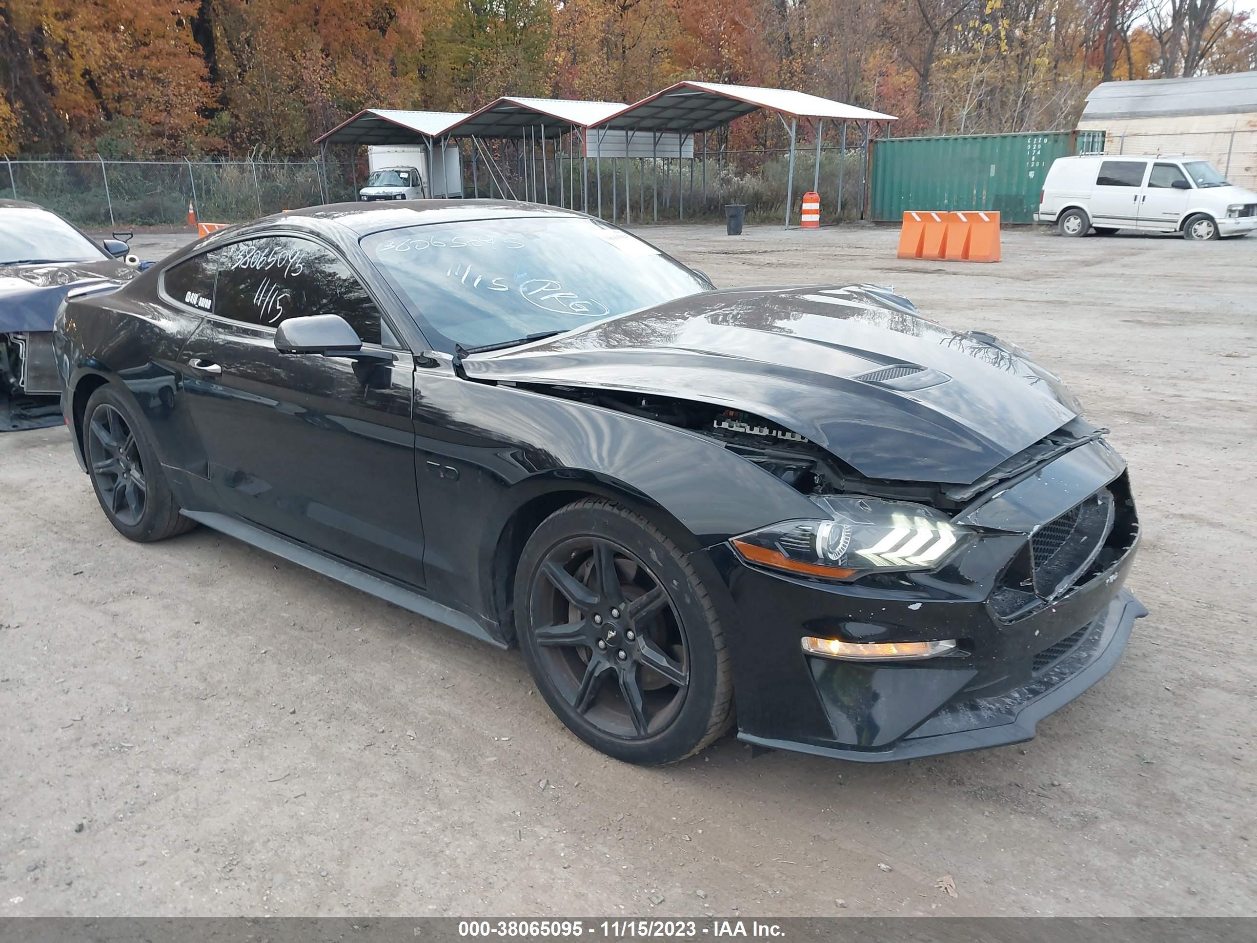 2019 Ford Mustang Gt vin: 1FA6P8CF9K5104079