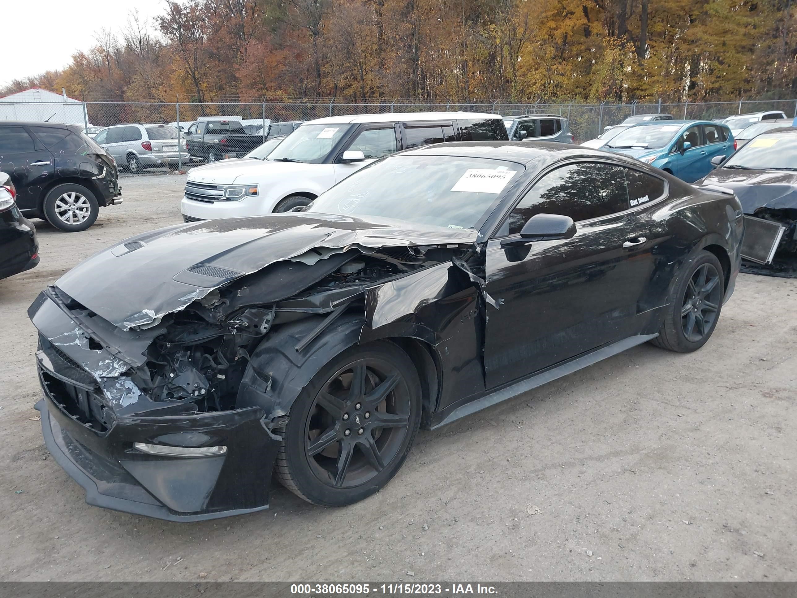 2019 Ford Mustang Gt vin: 1FA6P8CF9K5104079