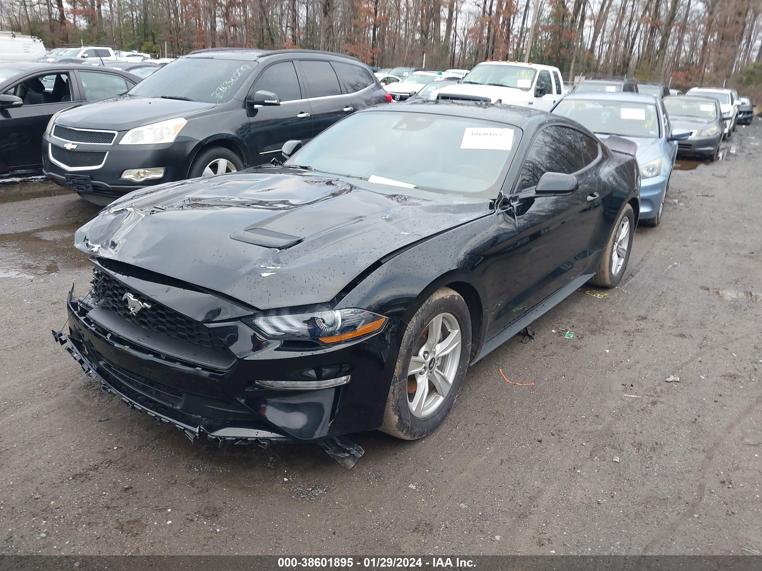 2022 Ford Mustang Ecoboost Fastback vin: 1FA6P8TH3N5136306