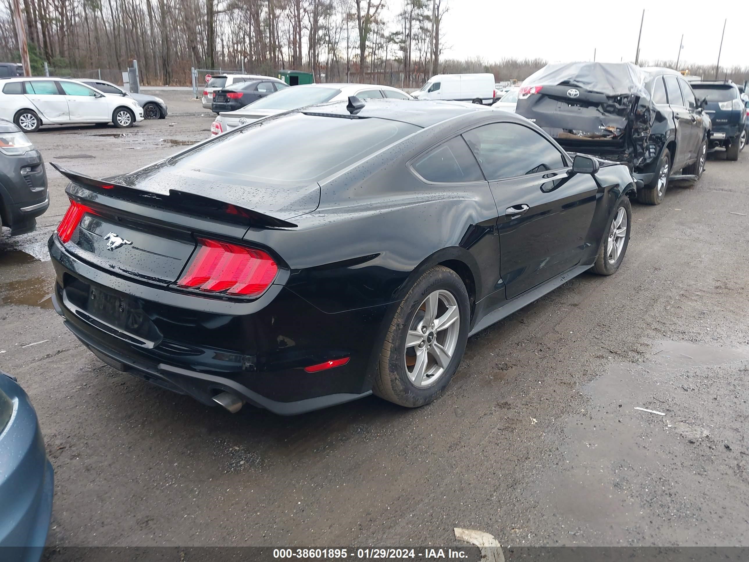 2022 Ford Mustang Ecoboost Fastback vin: 1FA6P8TH3N5136306