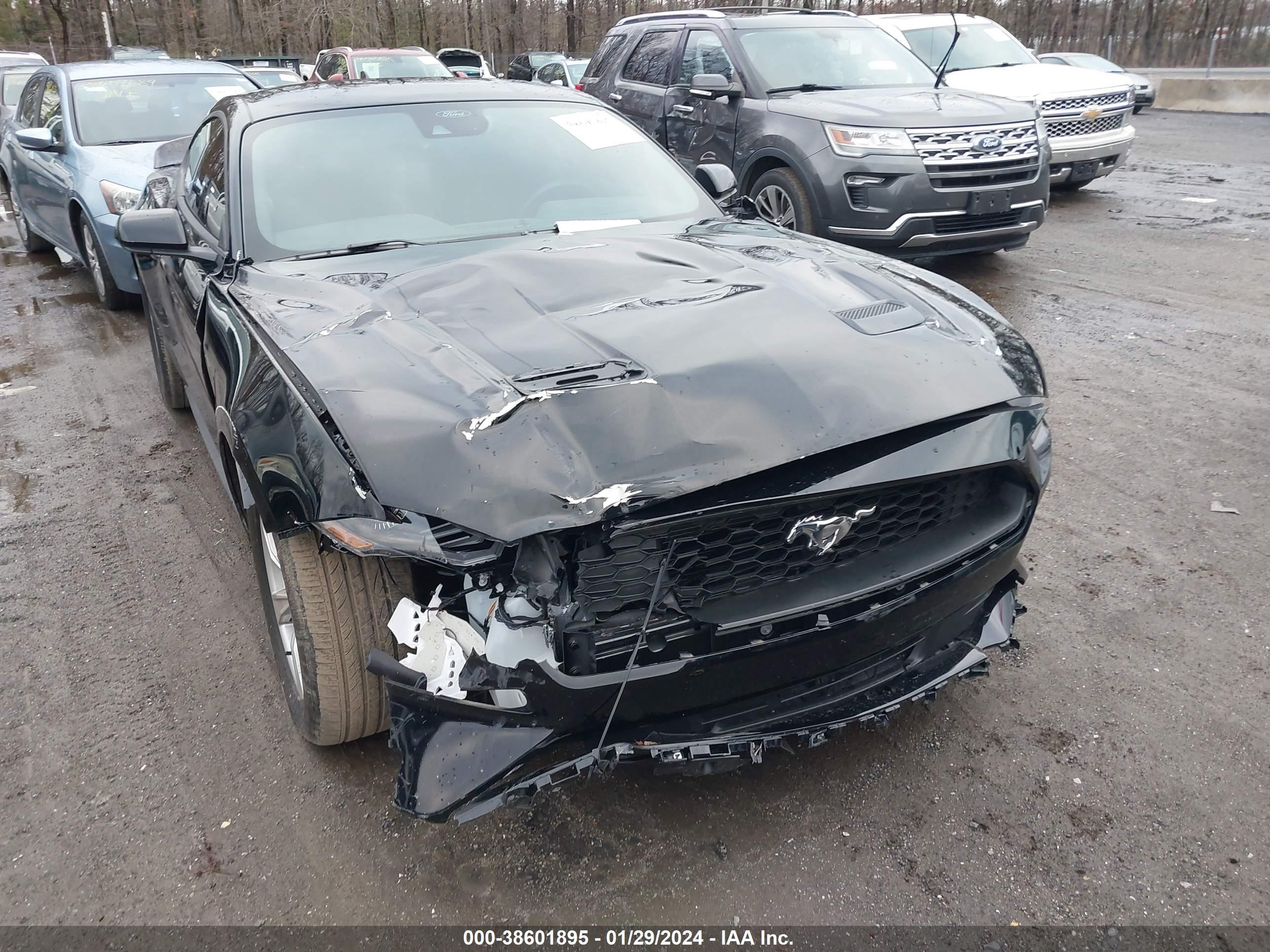 2022 Ford Mustang Ecoboost Fastback vin: 1FA6P8TH3N5136306