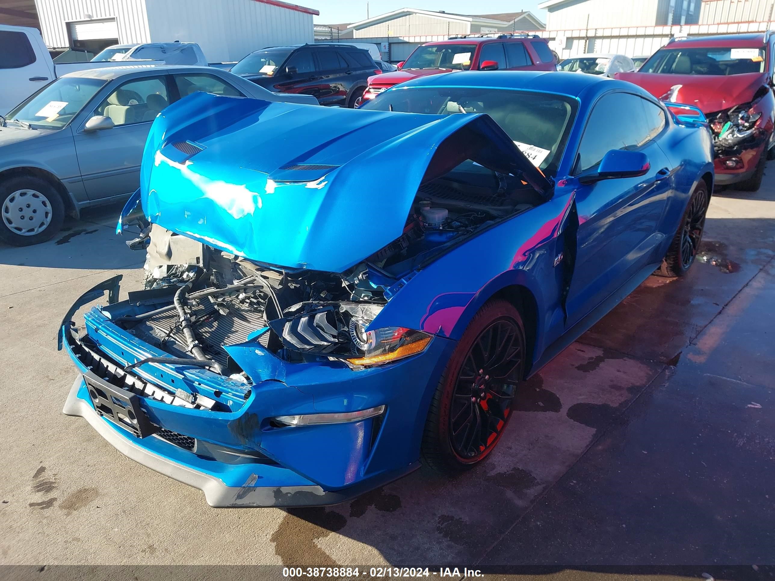 2019 Ford Mustang Gt vin: 1FA6P8CF0K5196313