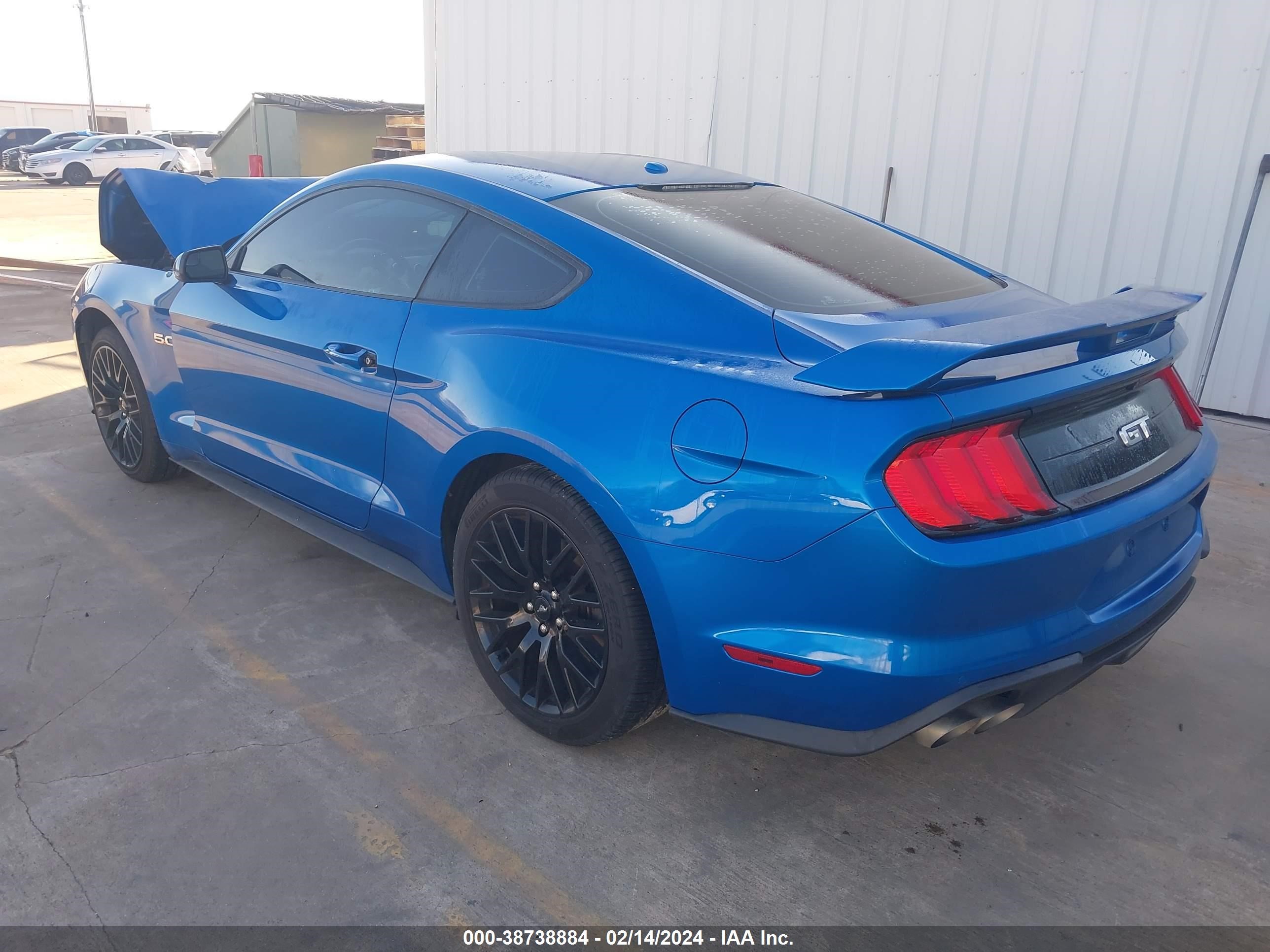 2019 Ford Mustang Gt vin: 1FA6P8CF0K5196313