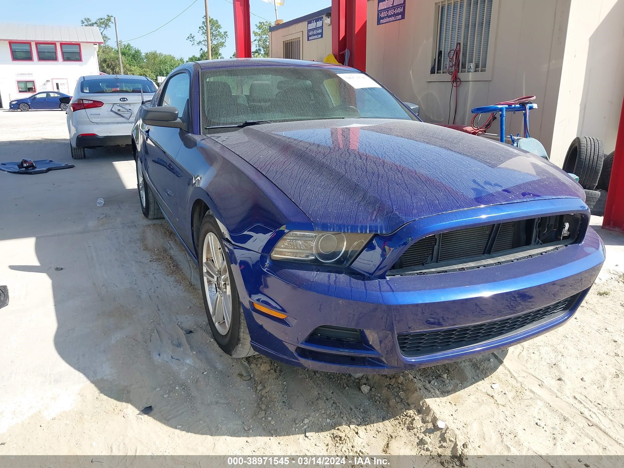 2013 Ford Mustang V6 vin: 1ZVBP8AM4D5256281