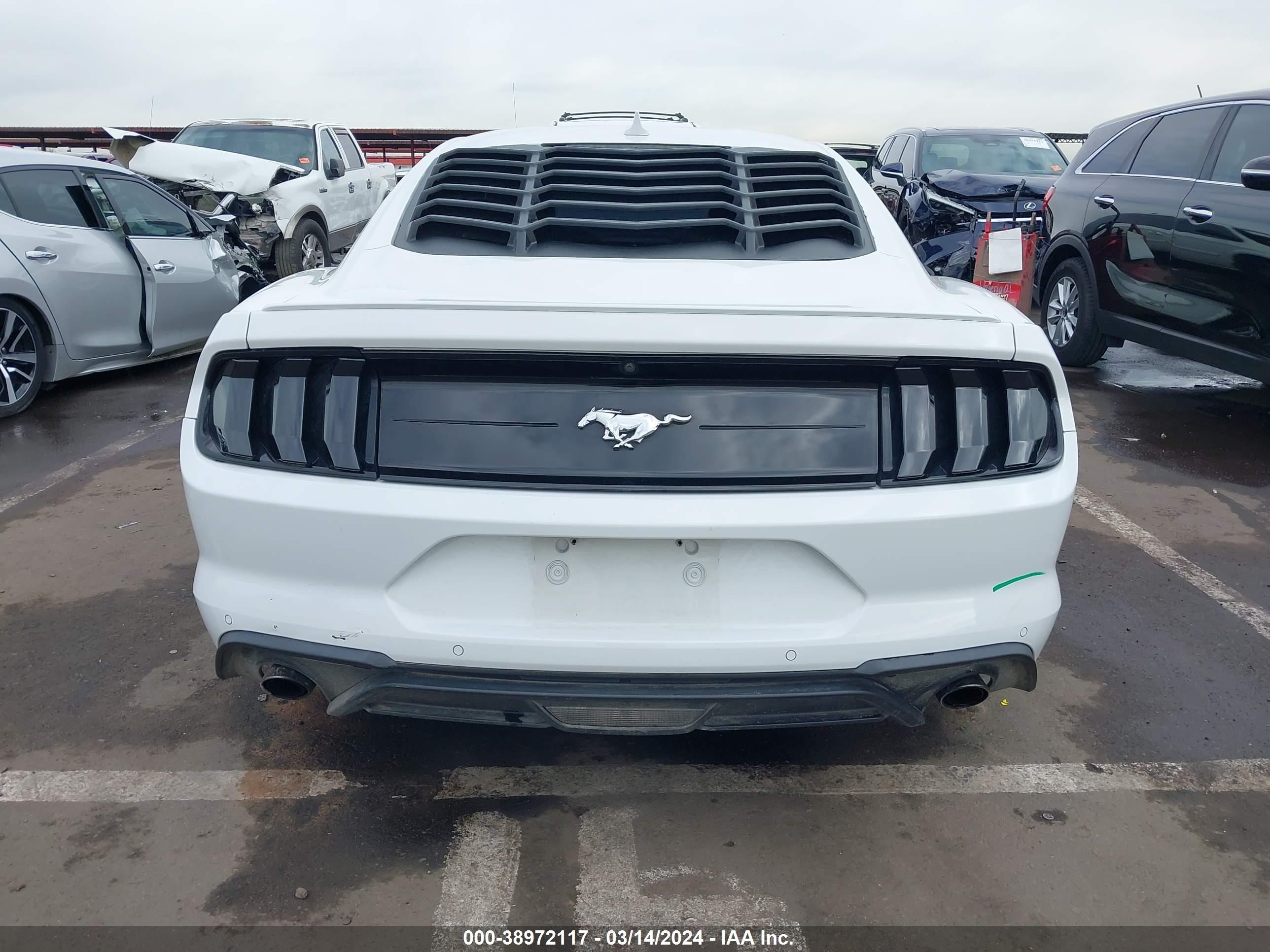 2020 Ford Mustang Ecoboost Premium Fastback vin: 1FA6P8TH7L5137021