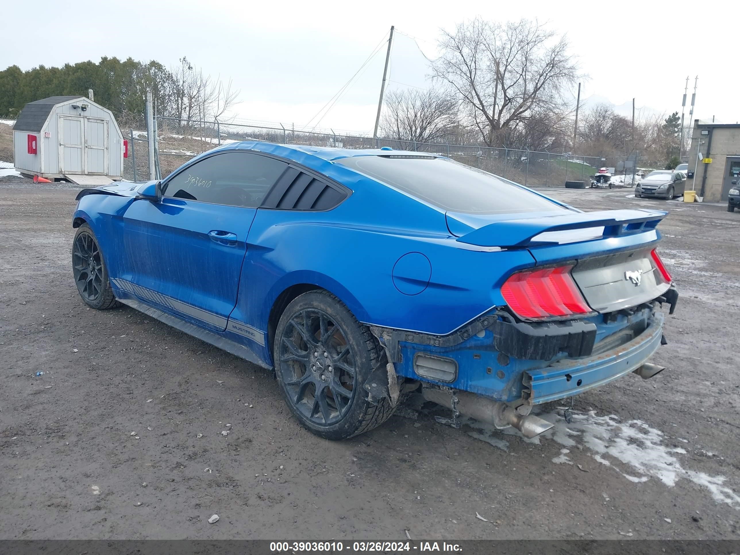 2019 Ford Mustang vin: 1FA6P8TH2K5203084