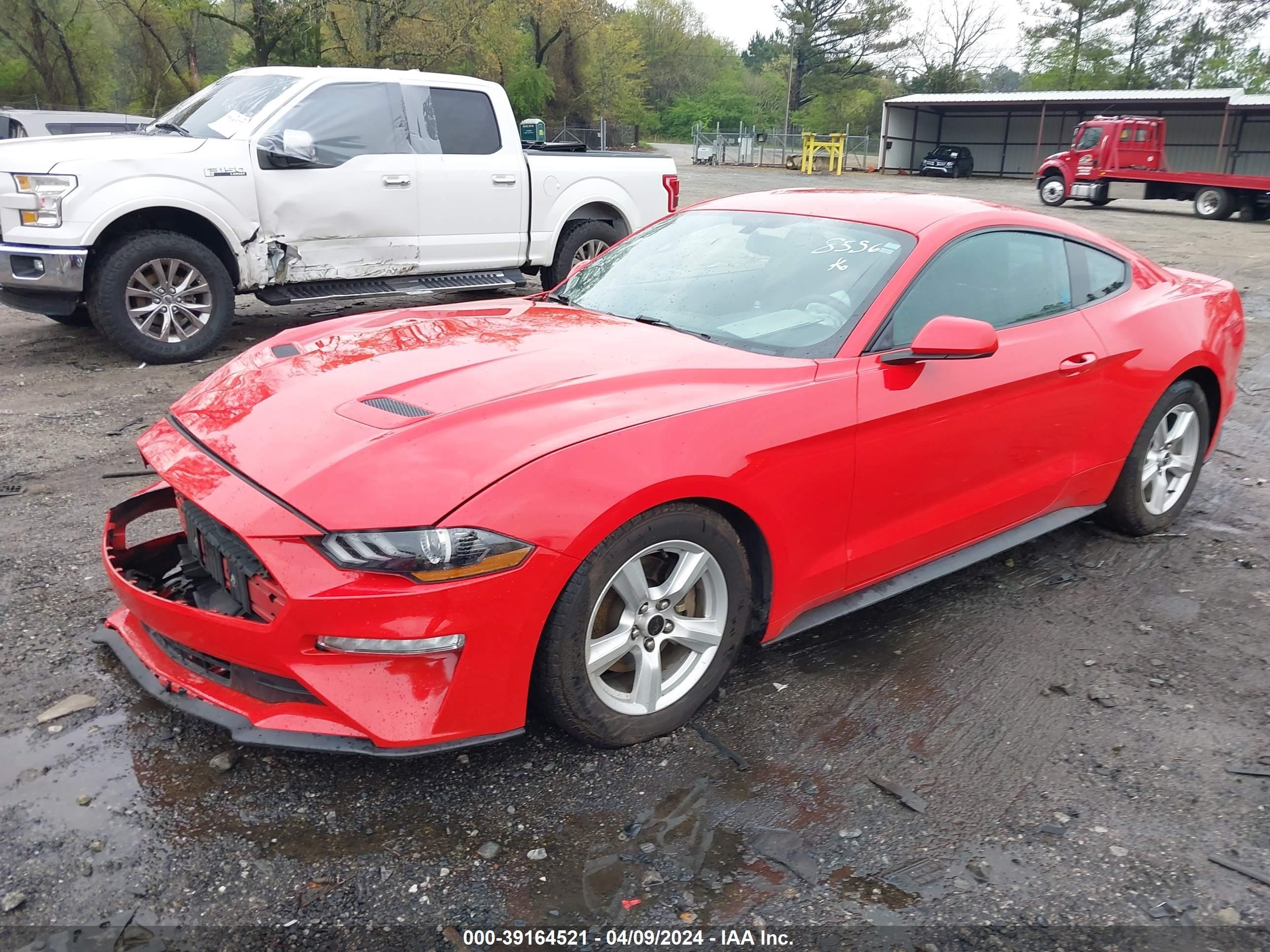 2019 Ford Mustang vin: 1FA6P8TH2K5108556