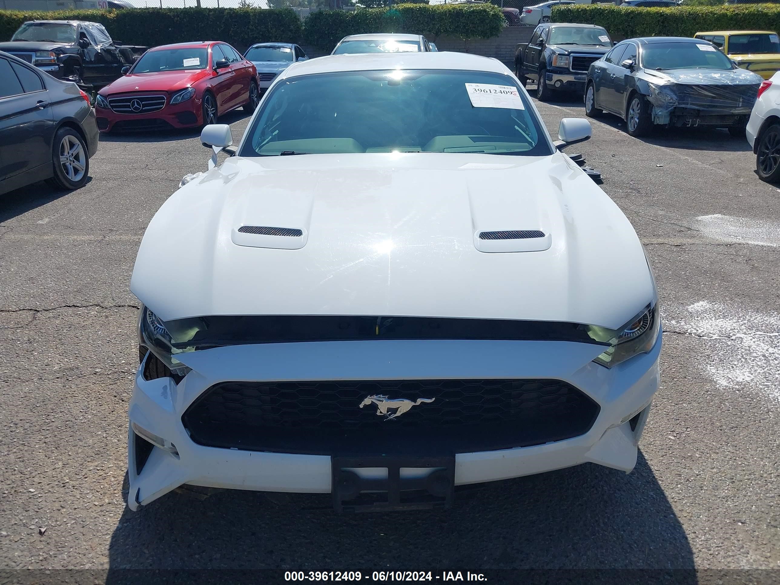 2019 Ford Mustang Ecoboost Premium vin: 1FA6P8TH1K5123467