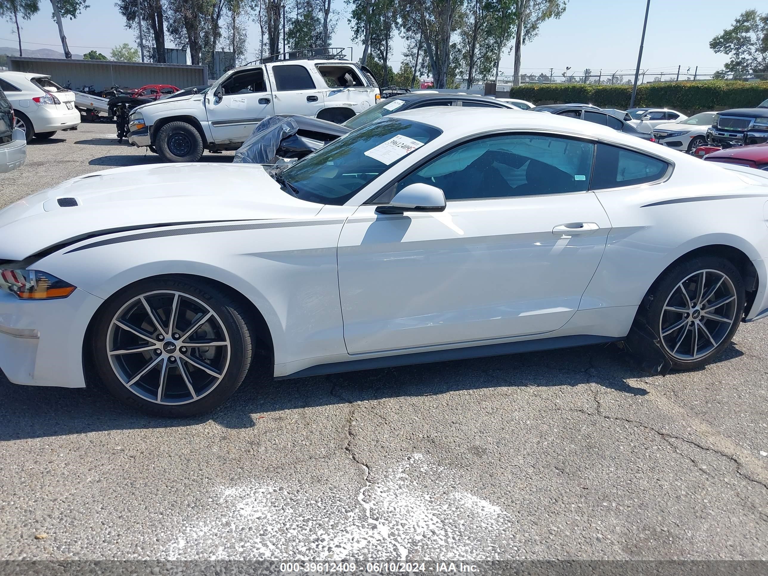 2019 Ford Mustang Ecoboost Premium vin: 1FA6P8TH1K5123467