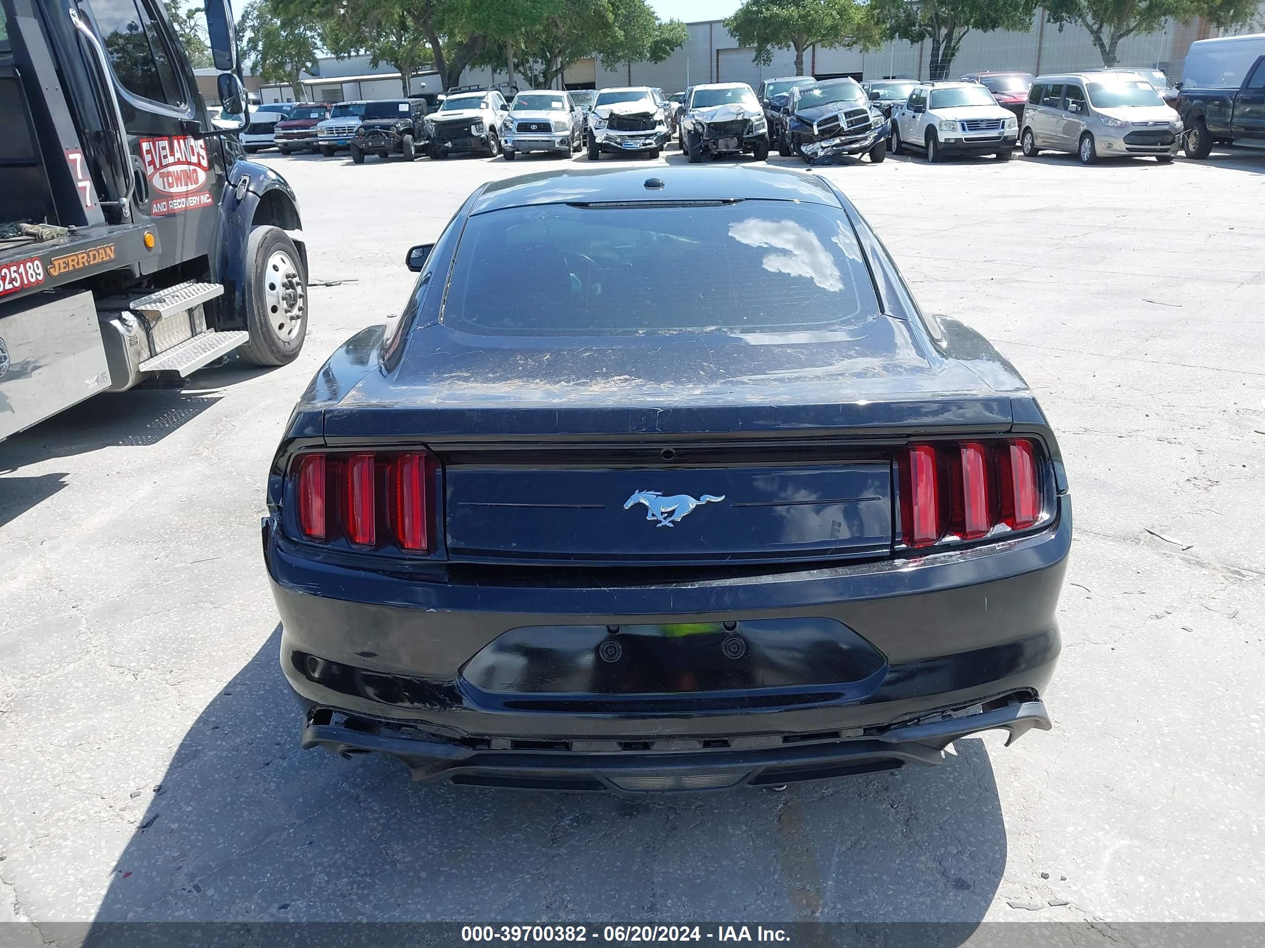 2019 Ford Mustang Ecoboost vin: 1FA6P8TH9K5203261