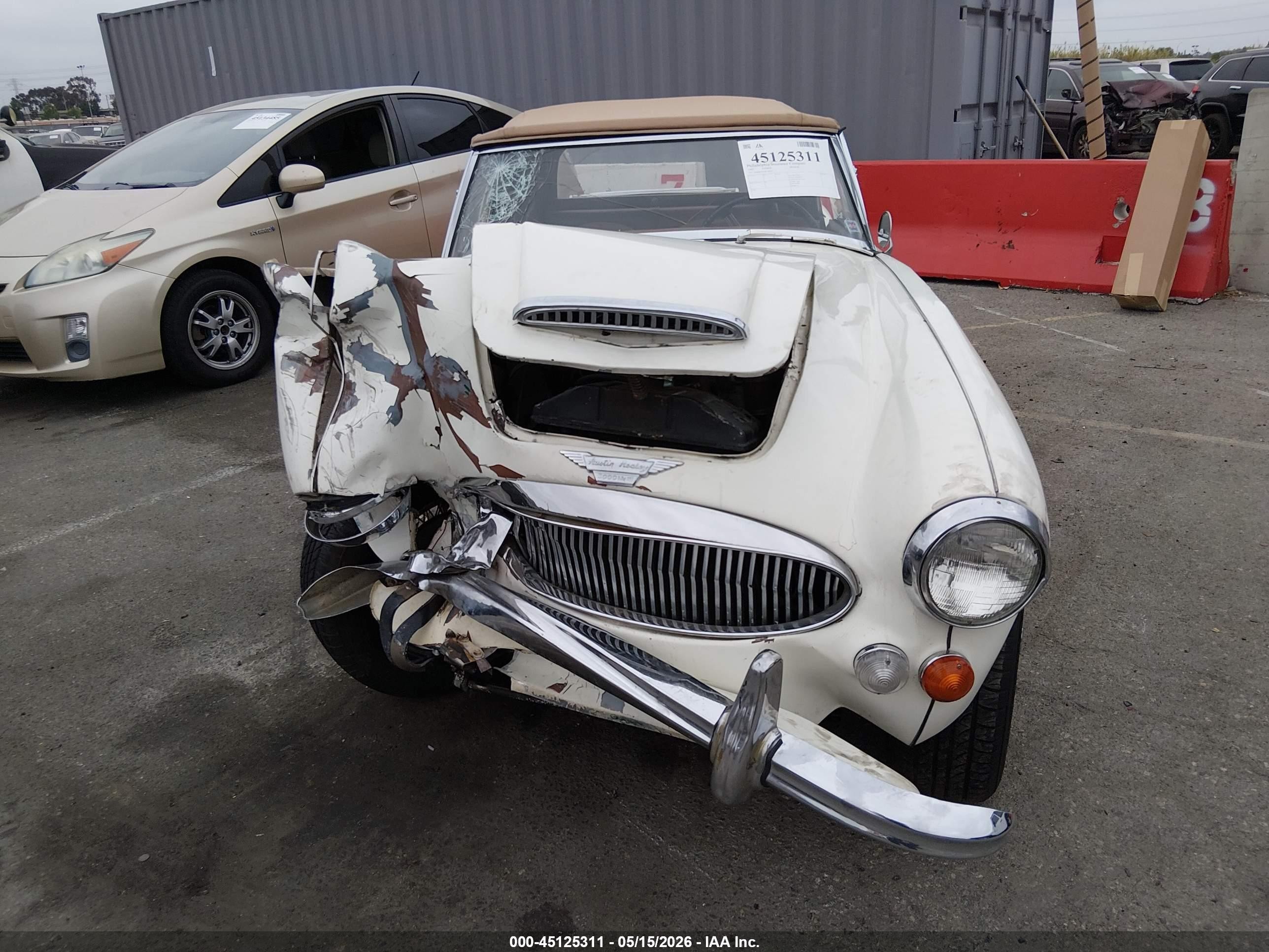 Austin Healey — zdjęcie 12