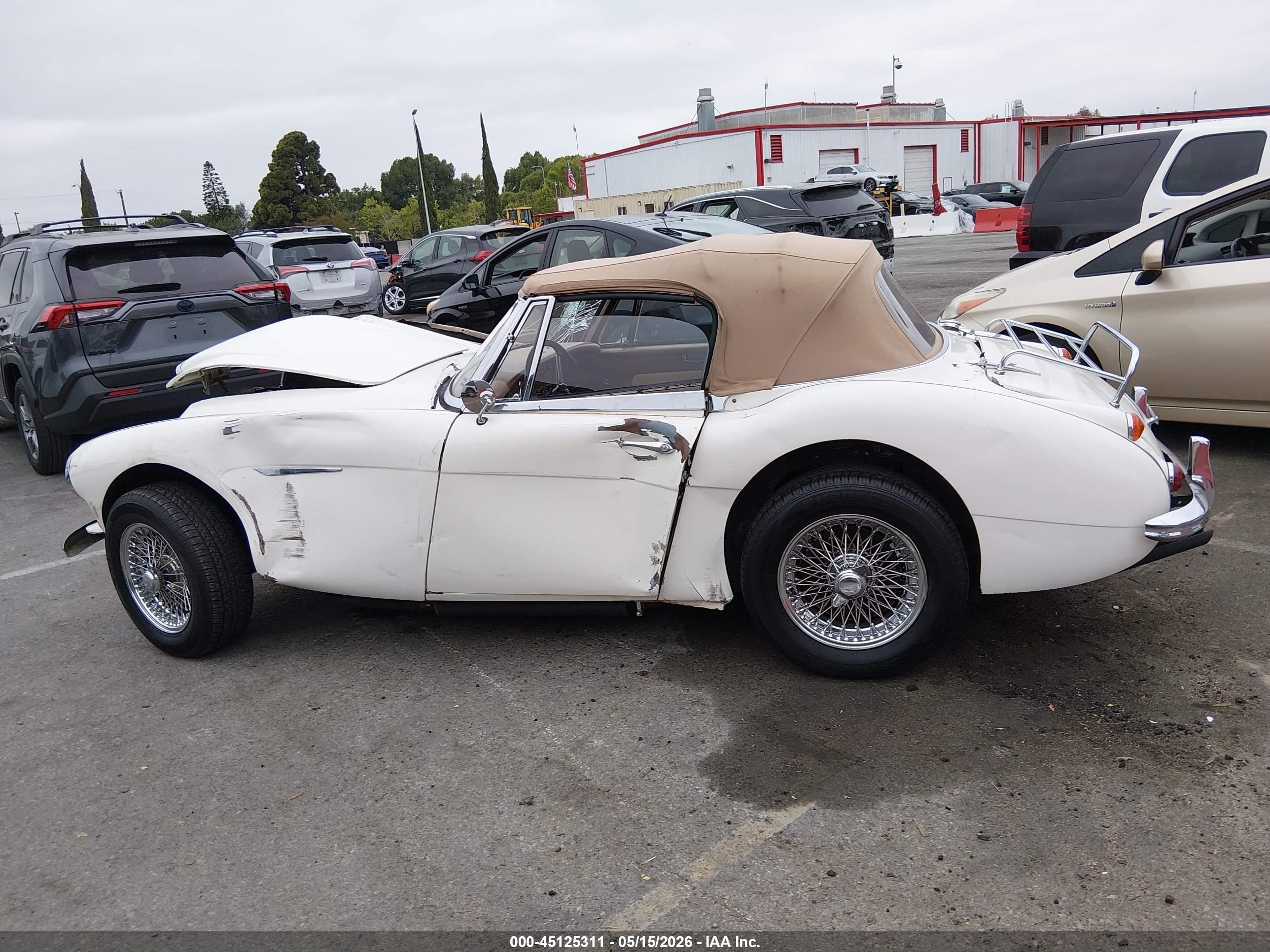 Austin Healey — zdjęcie 14