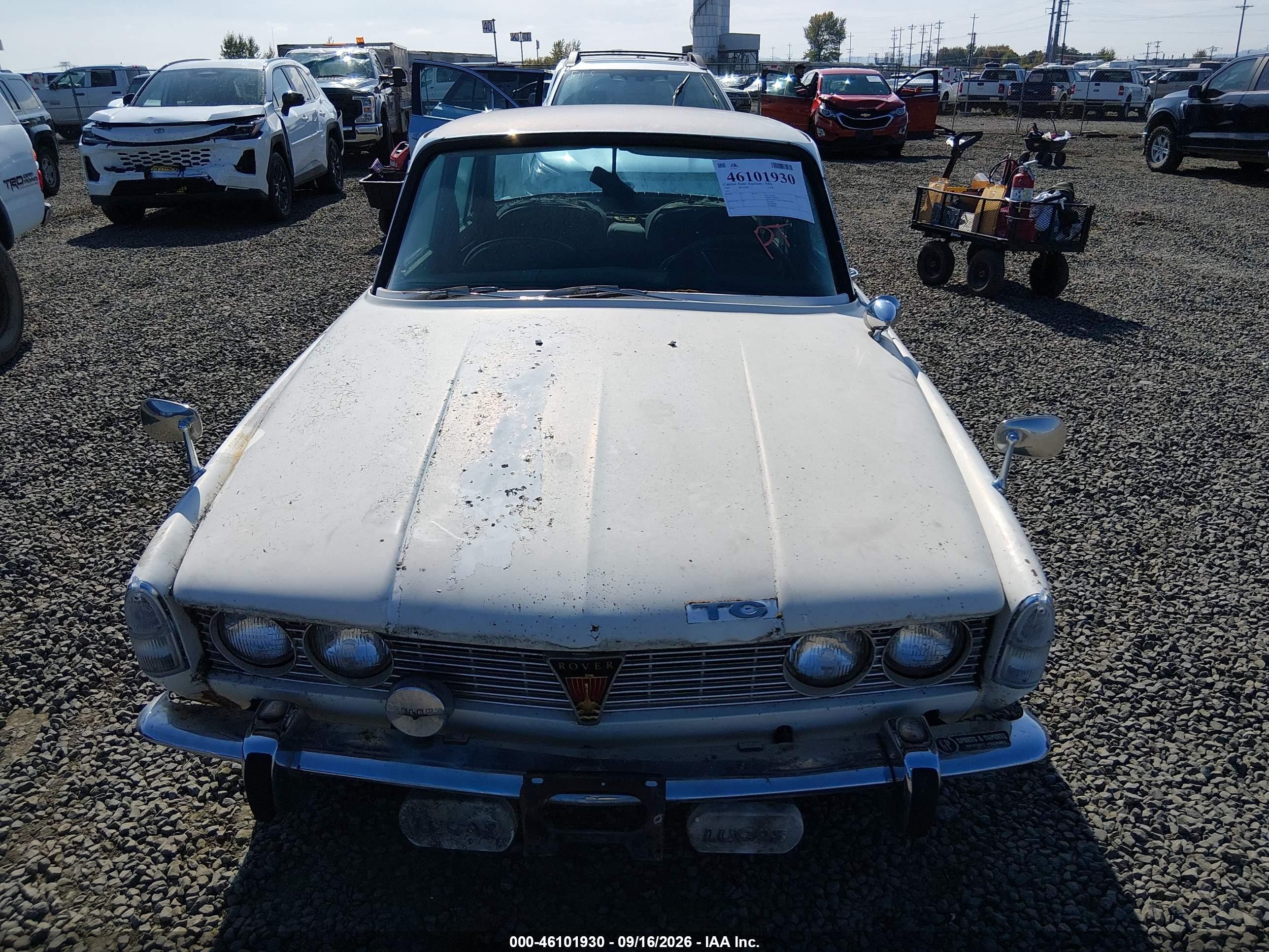 Rover — zdjęcie 6