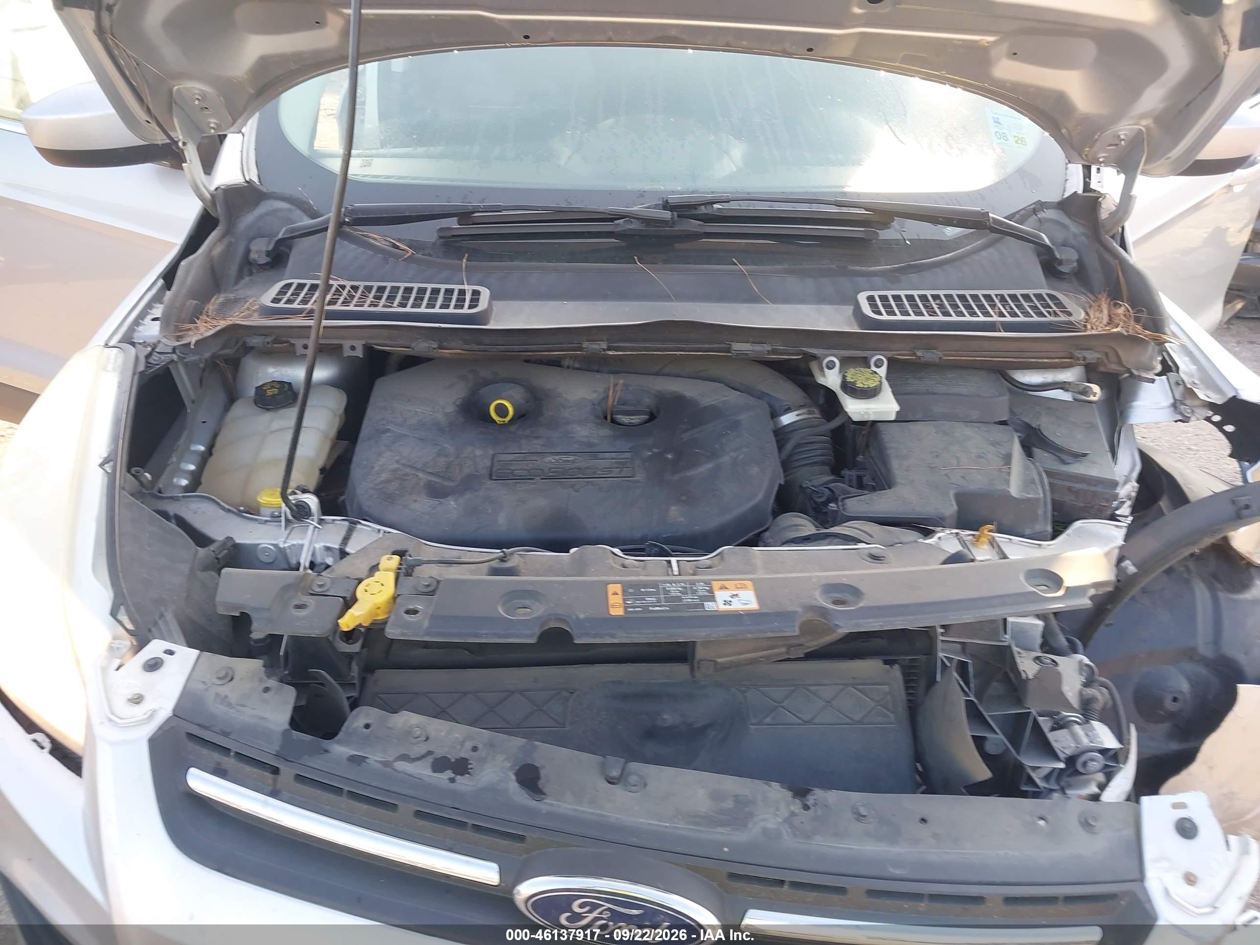 Ford Escape — photo 10