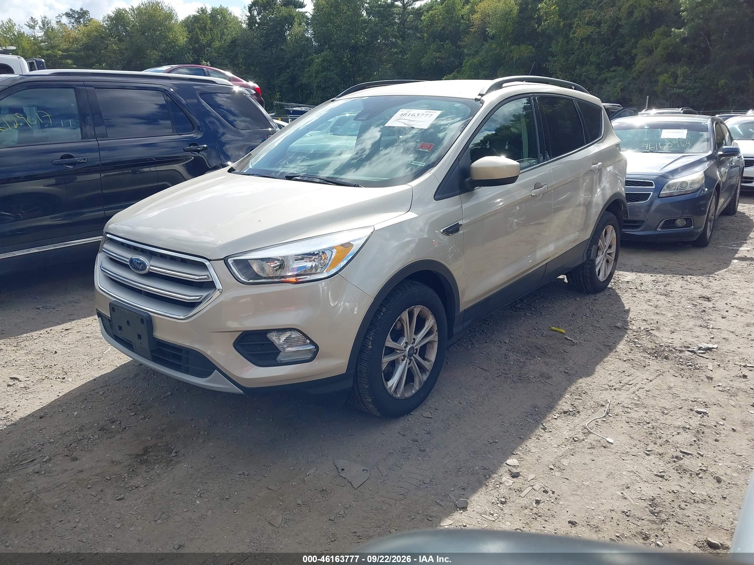 Ford Escape — photo 2