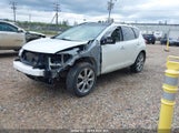 Nissan Murano S/Sl/Le JN8AZ1MWXDW304281 fotografie