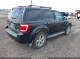 Ford Escape Xlt 1FMCU93G29KC40324 снимка