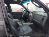 Ford Escape Xlt 1FMCU93G29KC40324 снимка