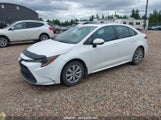 Toyota Corolla Le 5YFBPRBE8LP001912 fotografie