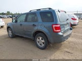 Ford Escape Xlt 1FMCU0D78BKB93848 fotografie