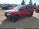 Ford Escape Xlt 1FMCU93198KA61207 снимка