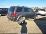 Ford Escape Limited 1FMCU9EG2BKC68823 снимка