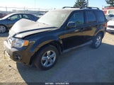 Ford Escape Xlt 1FMCU93G19KB91648 снимка