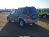 Ford Escape Xlt 1FMYU93167KB15132 снимка