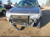Ford Escape Xlt 1FMYU93167KB15132 снимка
