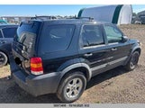 Ford Escape Xlt 1FMYU93196KA15587 снимка