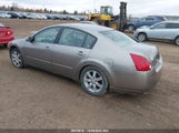 Nissan Maxima Se/Sl 1N4BA41E04C841253 снимка