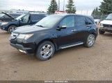 Acura Mdx 2HNYD28209H006862 снимка
