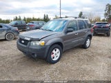 Ford Escape Xlt 1FMYU93115KB30344 снимка