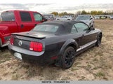 Ford Mustang 1ZVHT84N785137771 снимка