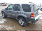 Ford Escape Xlt 1FMYU93167KA47687 снимка