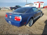 Ford Mustang 1ZVHT80N185156449 снимка