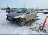 Hyundai Tucson Gls/Limited KM8JU3AC2DU577495 снимка