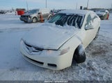 Acura Tsx JH4CL96884C802580 снимка
