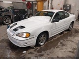 Pontiac Grand Am Gt1 1G2NV12E03C223488 fotografie