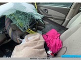 Chevrolet Malibu 1G1ZS52F25F241264 снимка