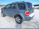 Ford Escape Xlt 1FMCU9DG9BKB49247 снимка