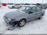Toyota Corolla Dx 2T1BA03E5VC166699 снимка