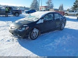 Acura Csx Type-S 2HHFD5E95AH250024 photo