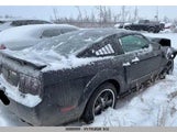 Ford Mustang Gt 1ZVHT82H895132576 снимка