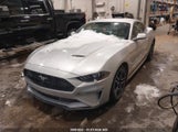 Ford Mustang 1FA6P8TH9K5113592 fotografie
