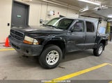 Dodge Dakota Quad Sport/Quad R/T 1B7HG38N92S648203 снимка