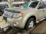 Ford Escape Xlt 1FMCU0D76CKC11197 fotografie