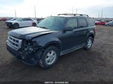 Ford Escape Xlt 1FMCU93G29KC18582 снимка